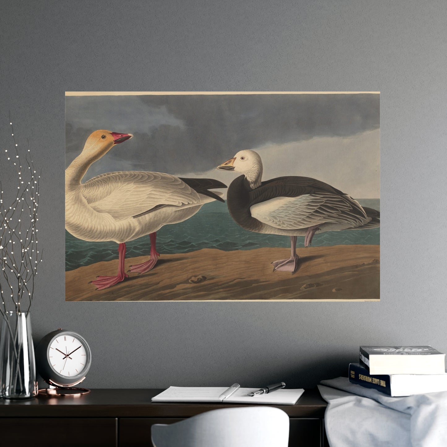 Snow Goose - Audubon Fine Art Poster