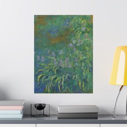 Claude Monet - Irises Botanical Fine Art Print