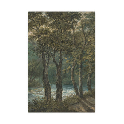 Sunlight Through Trees River Sihl - Forest Landscape Fine Art Poster