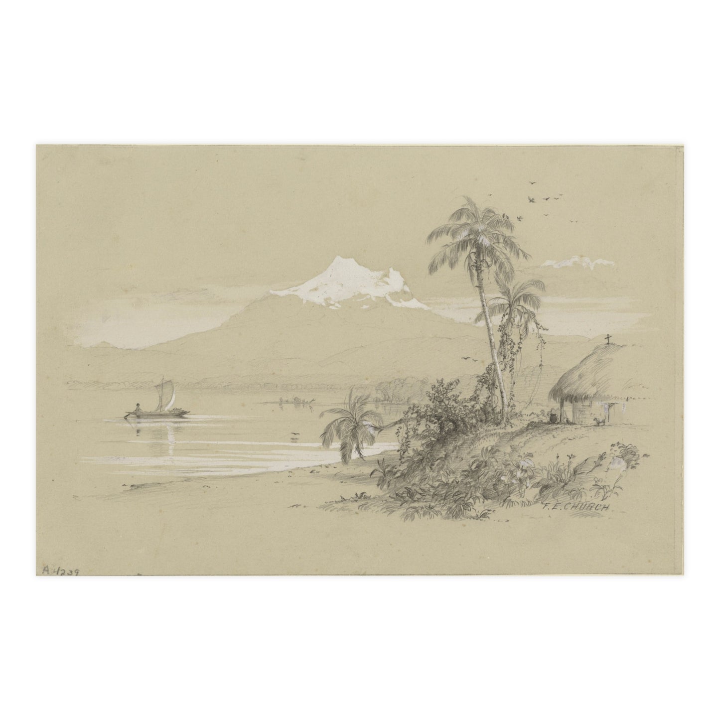 Magdalena River South America - Tropical Landscape Fine Art Poster