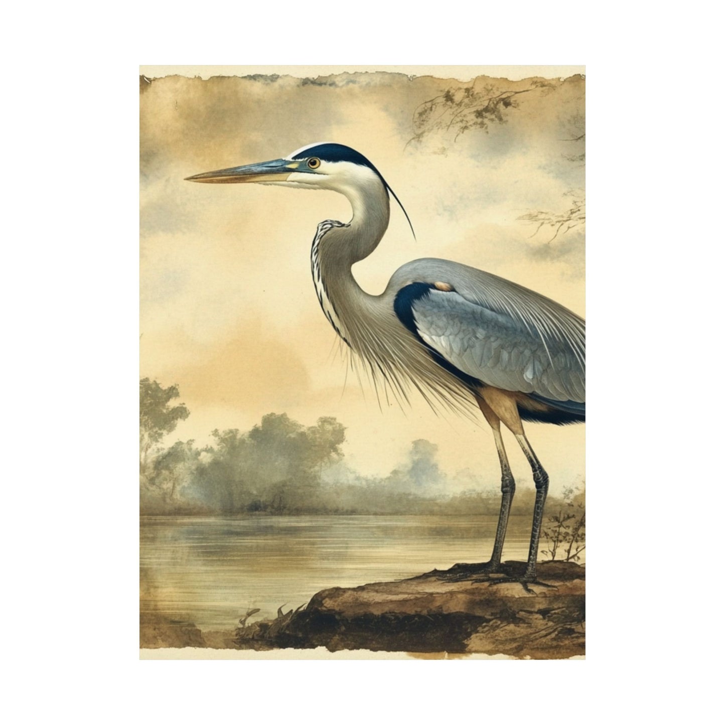 Elegant Blue Heron Coastal Fine Art Print