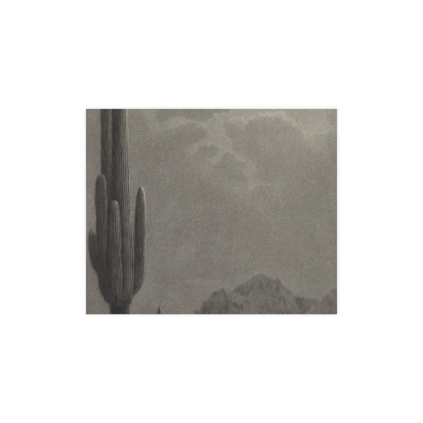 New Moon and Evening Star over Cactus- Celestial Fine Art Poster