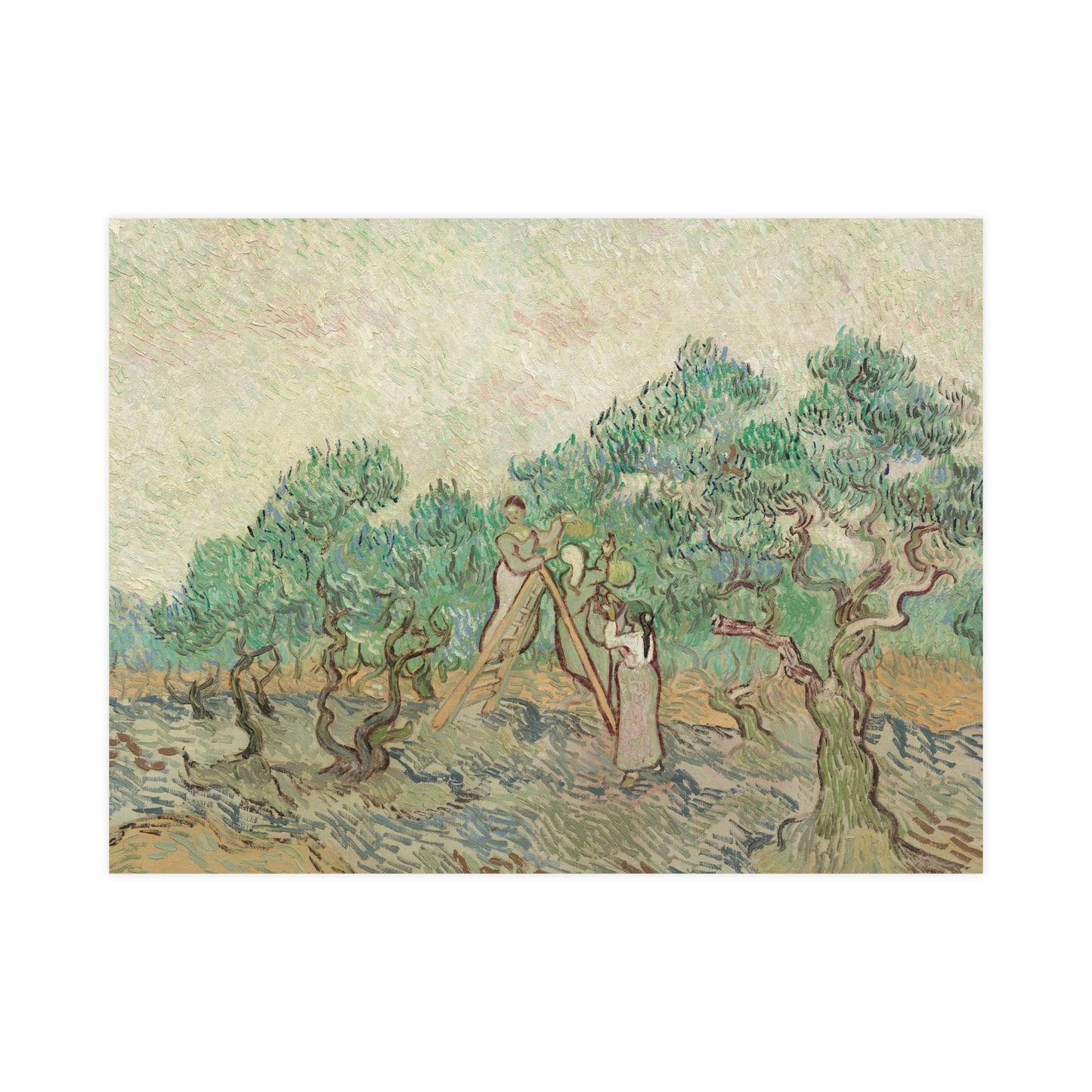 The Olive Orchard - Van Gogh Fine Art Poster