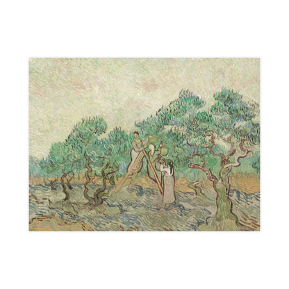 The Olive Orchard - Van Gogh Fine Art Poster