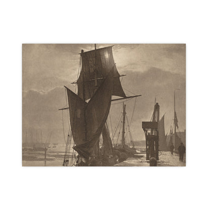 Sunshine and Shadow - Forest Interior Fine Art Poster