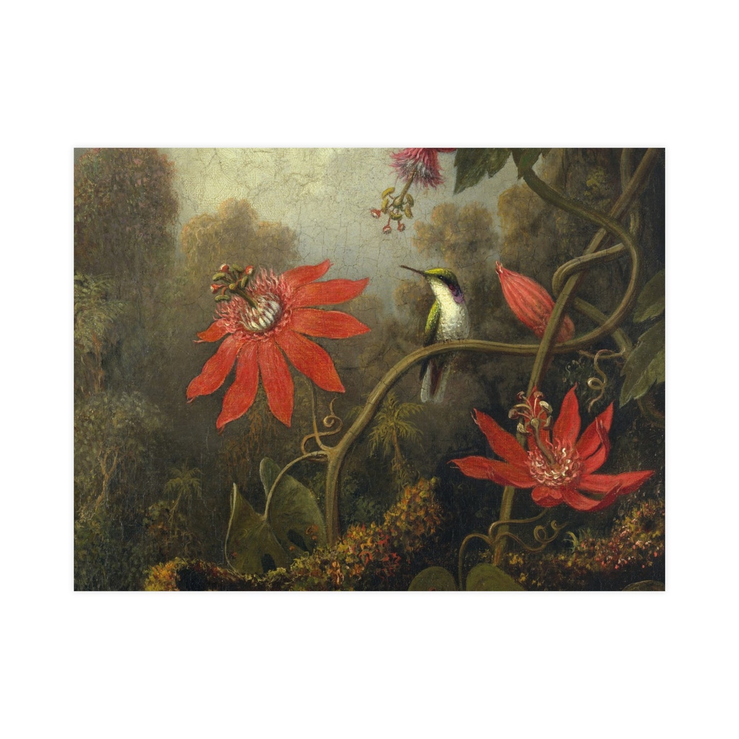 Hummingbird in Lush Tropical Landscape - Museum Collection - Fine Art Poster
