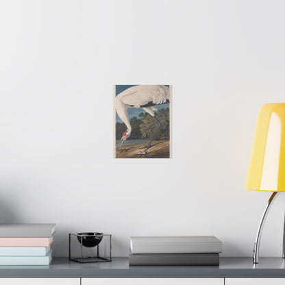 Crane in the Glades - Vintage Fine Art Print - Art Print - Poster for Nature Lovers & Birdwatchers