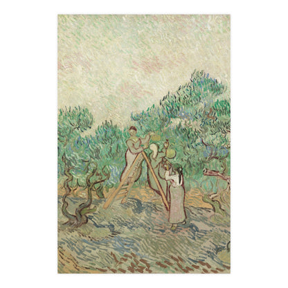 The Olive Orchard - Van Gogh Fine Art Poster