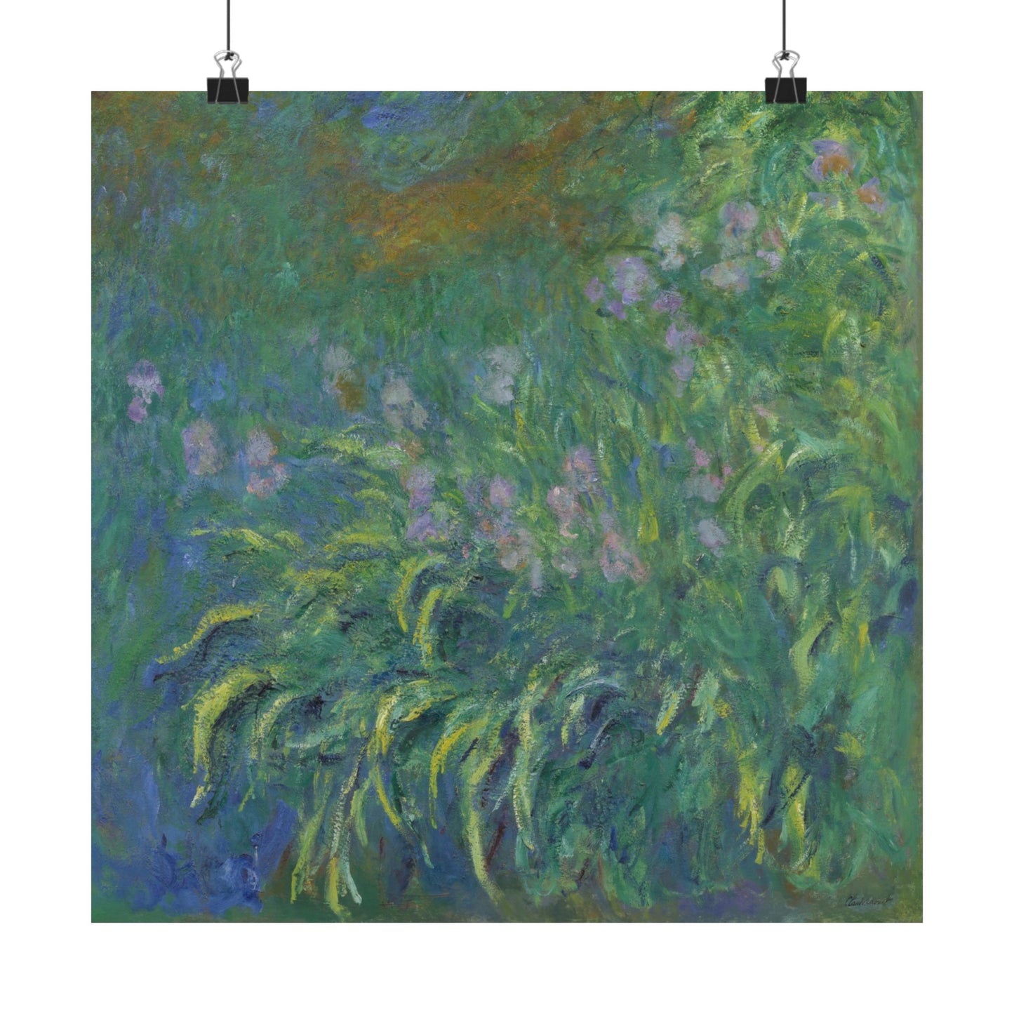 Claude Monet - Irises Botanical Fine Art Print