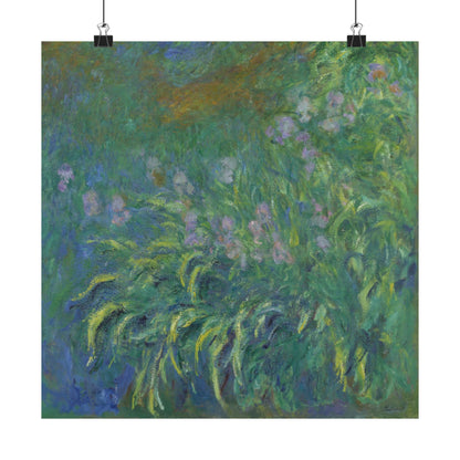Claude Monet - Irises Botanical Fine Art Print