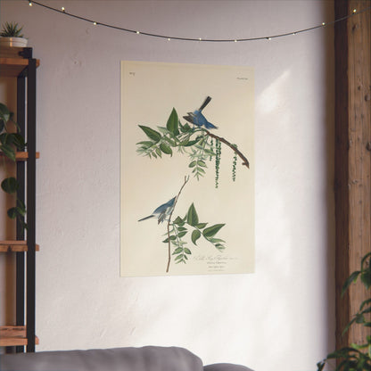Vintage Bluebirds Botanical Print - Nature-Inspired Art - Matte Vertical Poster with Bluebirds