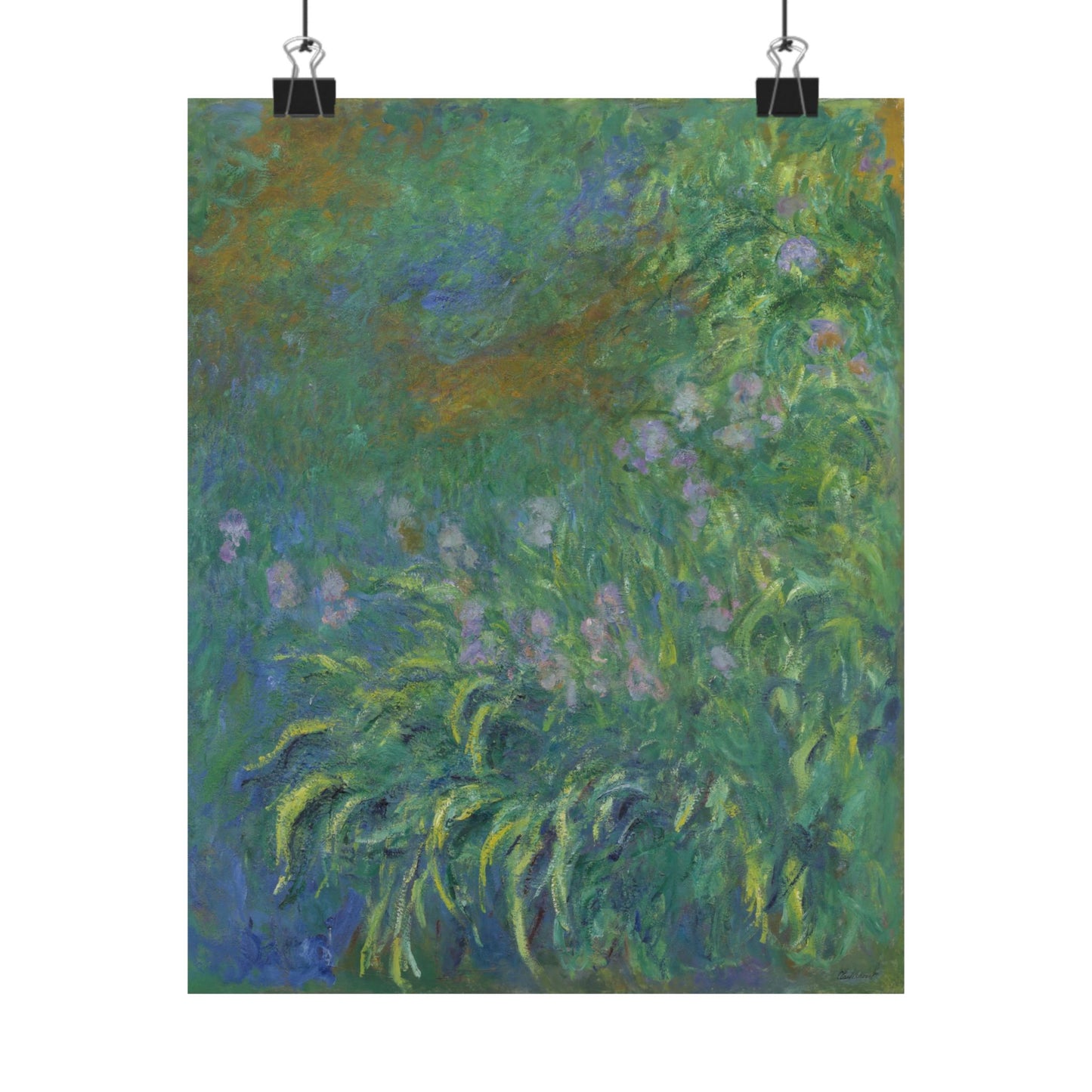 Claude Monet - Irises Botanical Fine Art Print