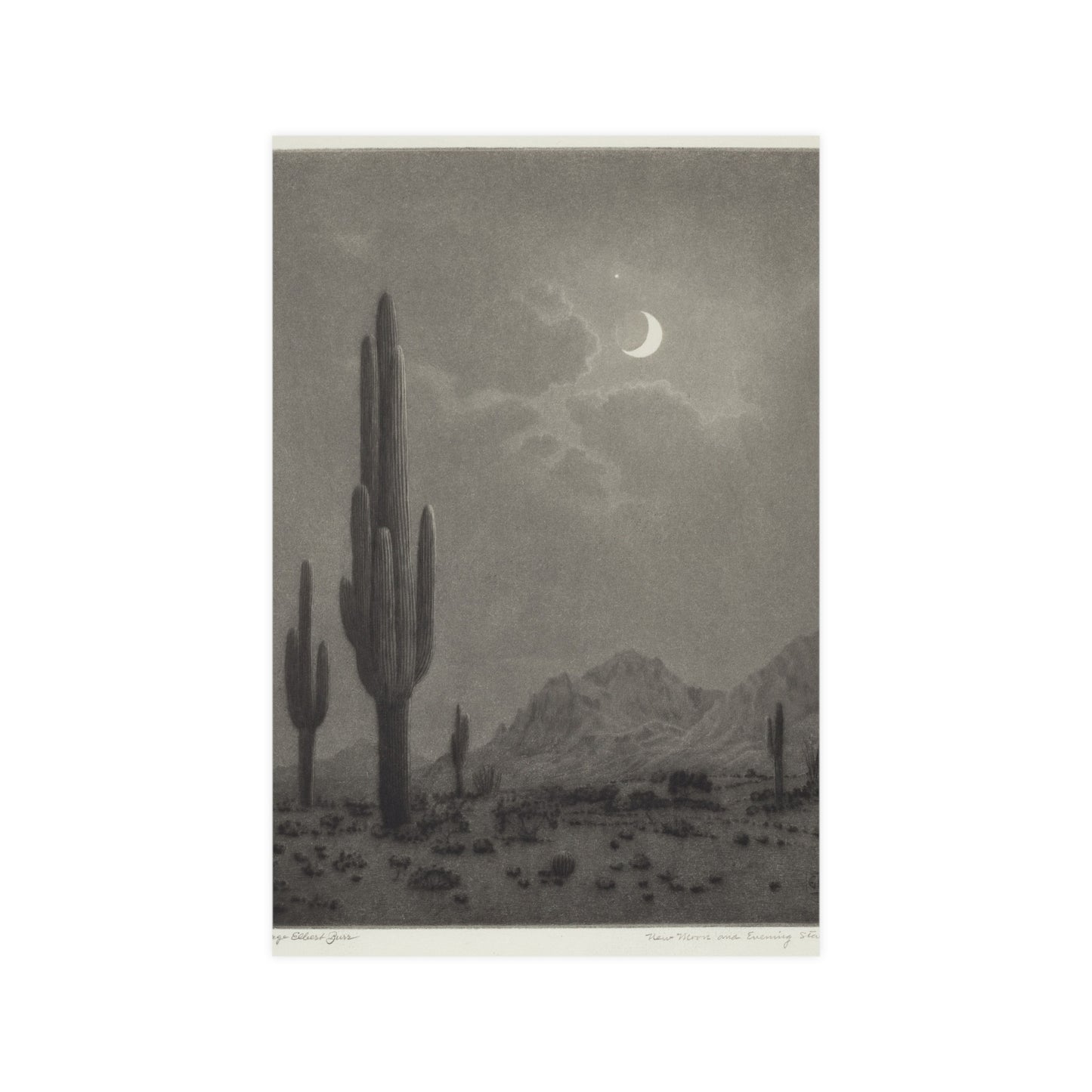 New Moon and Evening Star over Cactus- Celestial Fine Art Poster