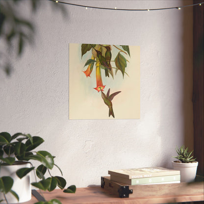 Hummingbird Botanical Art Print - Matte Vertical Poster - Nature Inspired Wall Art - Vintage Bird Watcher Art