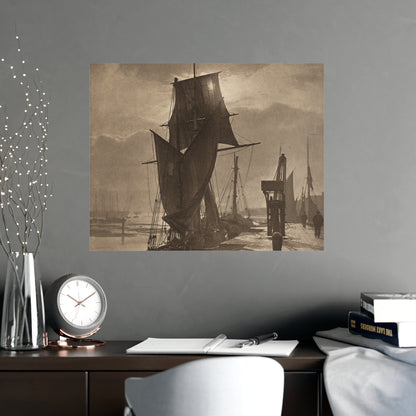 Sunshine and Shadow - Forest Interior Fine Art Poster