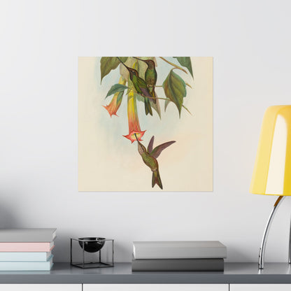 Hummingbird Botanical Art Print - Matte Vertical Poster - Nature Inspired Wall Art - Vintage Bird Watcher Art