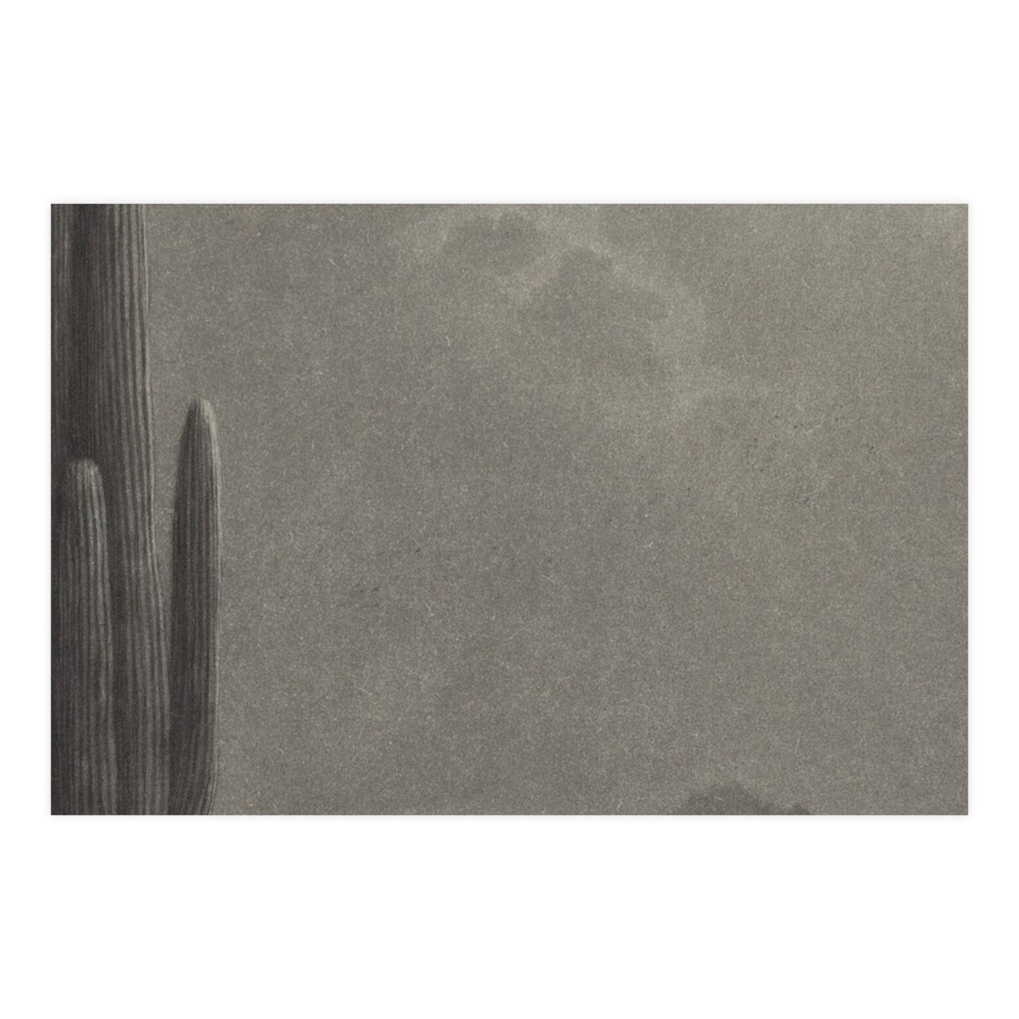 New Moon and Evening Star over Cactus- Celestial Fine Art Poster
