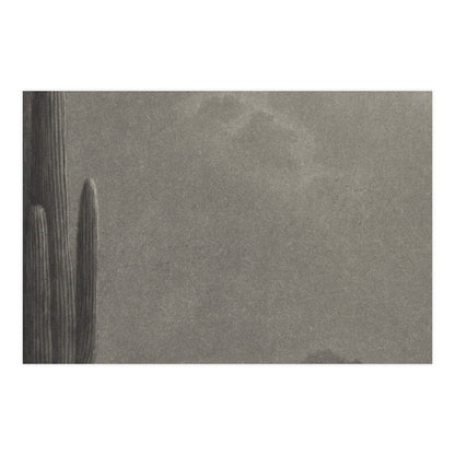 New Moon and Evening Star over Cactus- Celestial Fine Art Poster