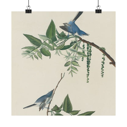 Vintage Bluebirds Botanical Print - Nature-Inspired Art - Matte Vertical Poster with Bluebirds