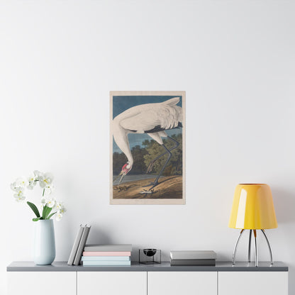 Crane in the Glades - Vintage Fine Art Print - Art Print - Poster for Nature Lovers & Birdwatchers