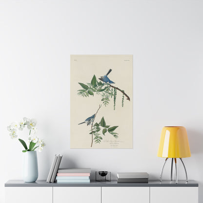 Vintage Bluebirds Botanical Print - Nature-Inspired Art - Matte Vertical Poster with Bluebirds