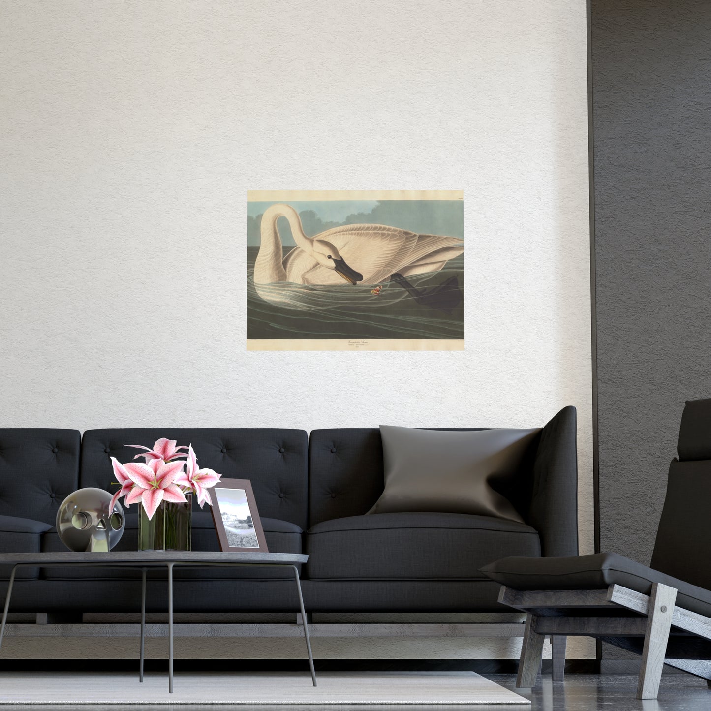 Trumpeter Swan - Audubon Fine Art Poster