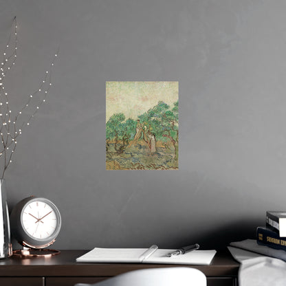 The Olive Orchard - Van Gogh Fine Art Poster