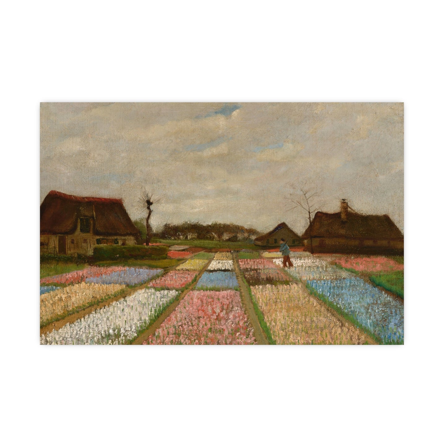Flower Beds in Holland - Van Gogh Fine Art Poster