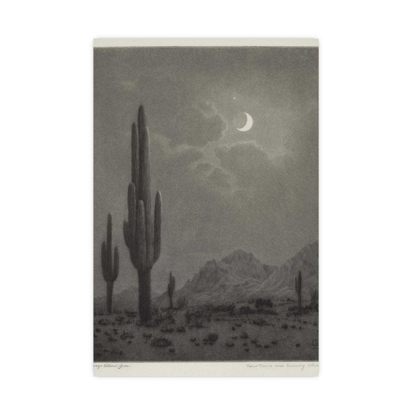 New Moon and Evening Star over Cactus- Celestial Fine Art Poster