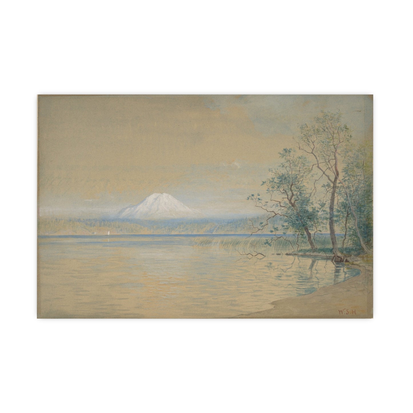 Mount Tacoma - Pacific Northwest Landscape Fine Art Poster
