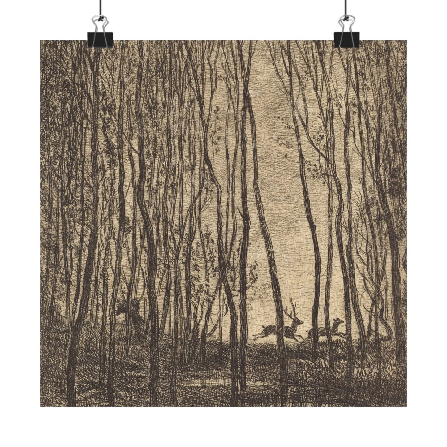 Deer Running Through Woods Nature Fine Art Print