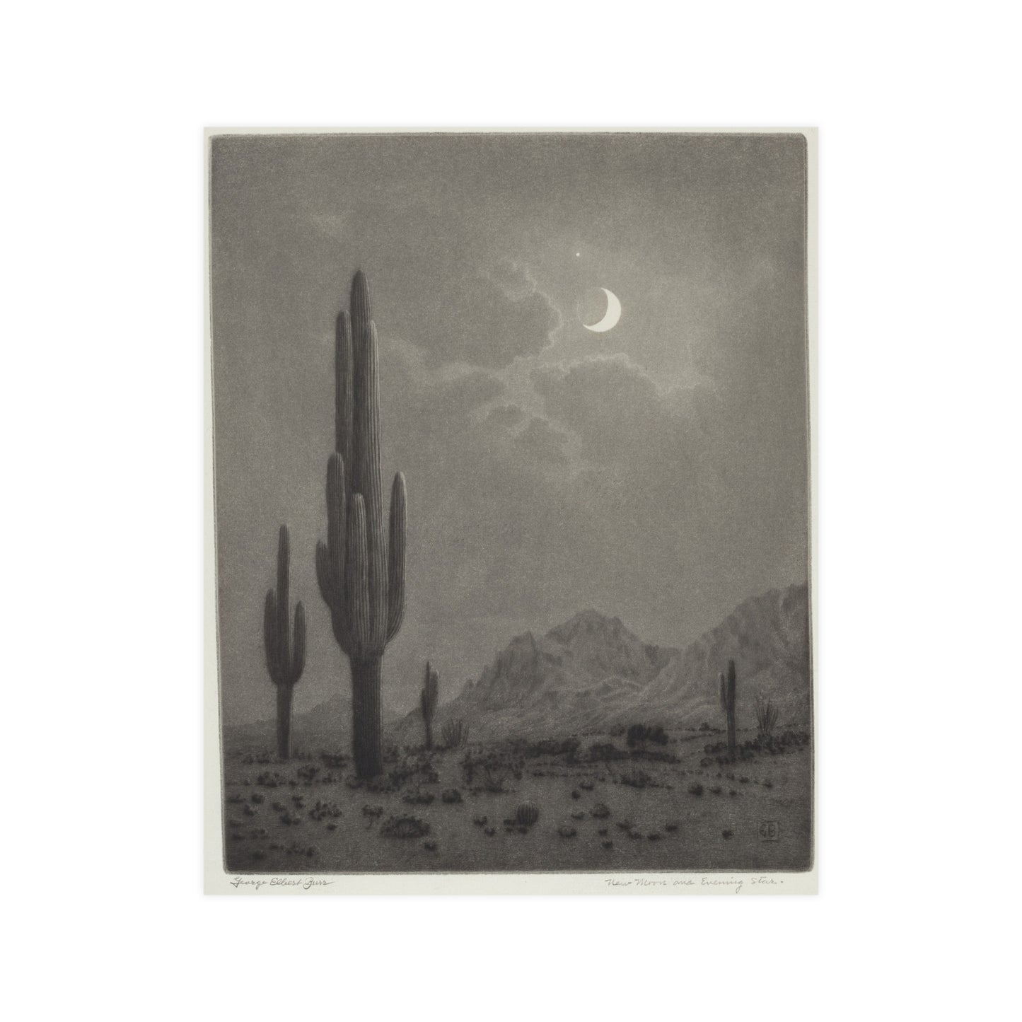 New Moon and Evening Star over Cactus- Celestial Fine Art Poster