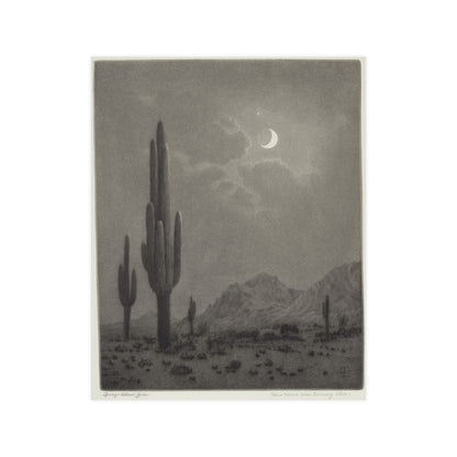 New Moon and Evening Star over Cactus- Celestial Fine Art Poster