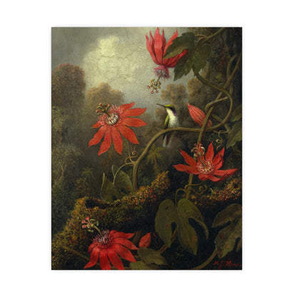 Hummingbird in Lush Tropical Landscape - Museum Collection - Fine Art Poster