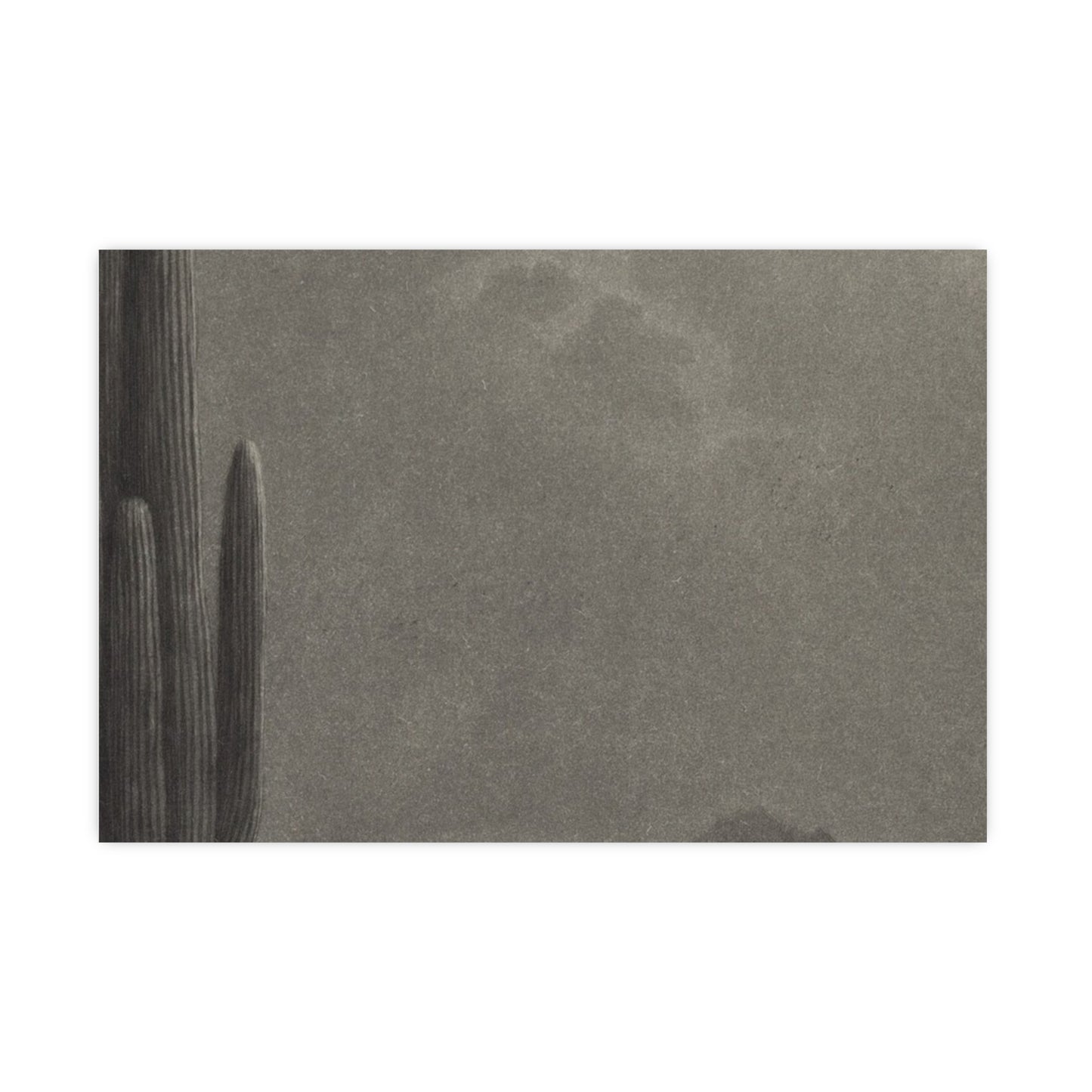 New Moon and Evening Star over Cactus- Celestial Fine Art Poster