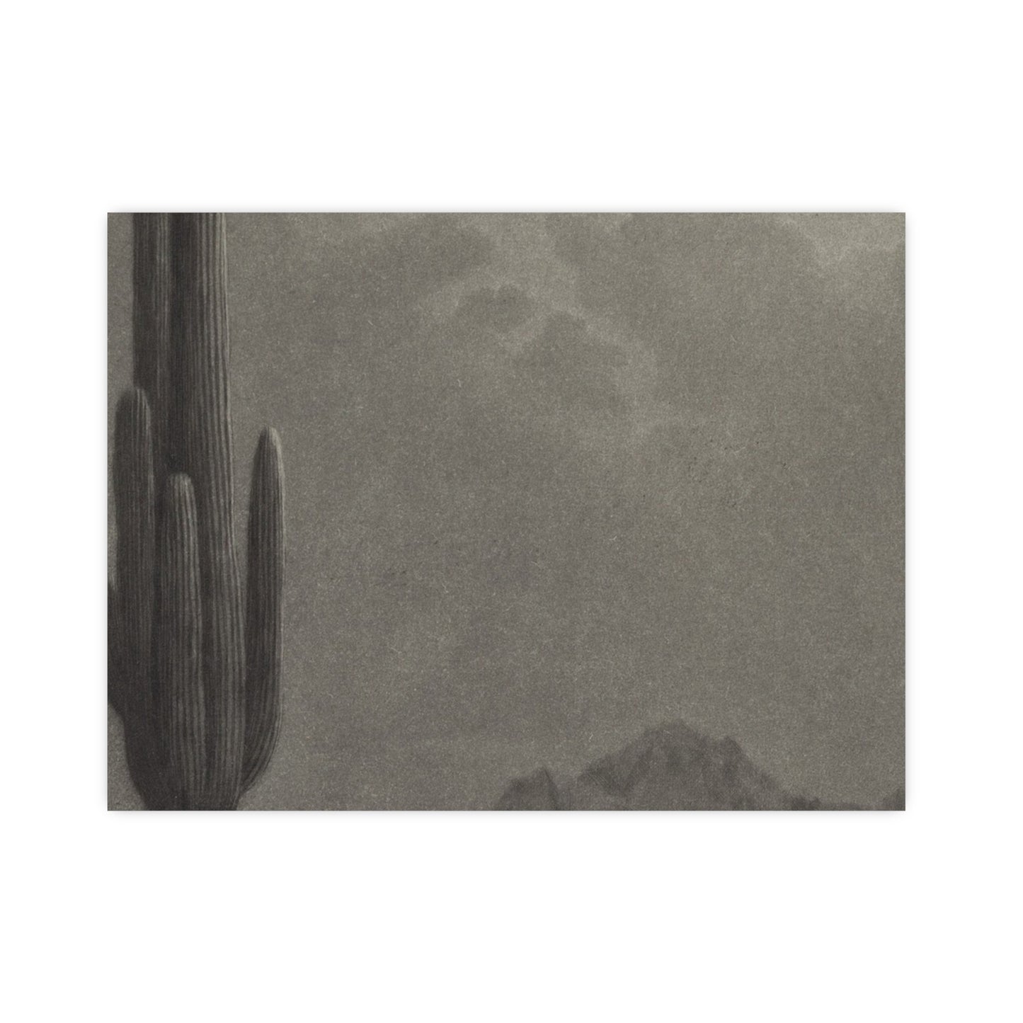 New Moon and Evening Star over Cactus- Celestial Fine Art Poster