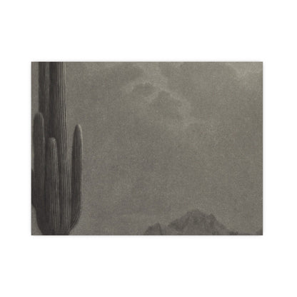 New Moon and Evening Star over Cactus- Celestial Fine Art Poster