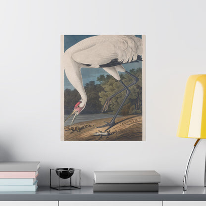 Crane in the Glades - Vintage Fine Art Print - Art Print - Poster for Nature Lovers & Birdwatchers