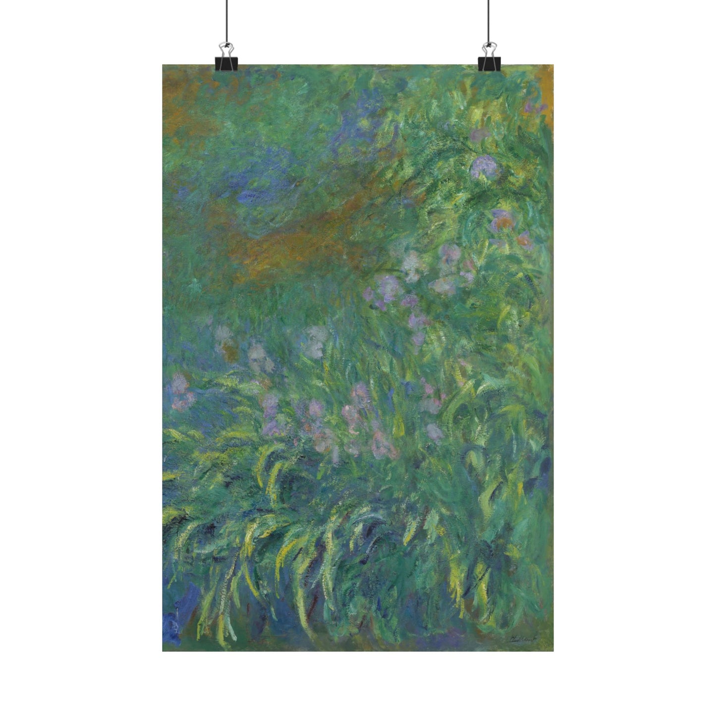 Claude Monet - Irises Botanical Fine Art Print