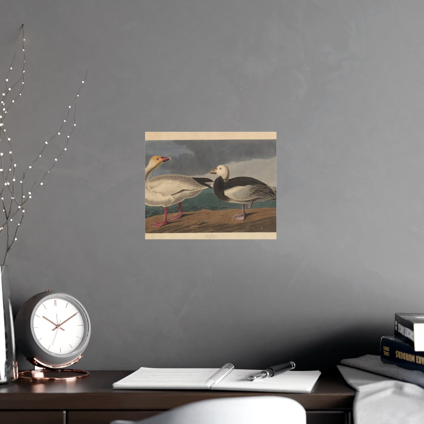 Snow Goose - Audubon Fine Art Poster