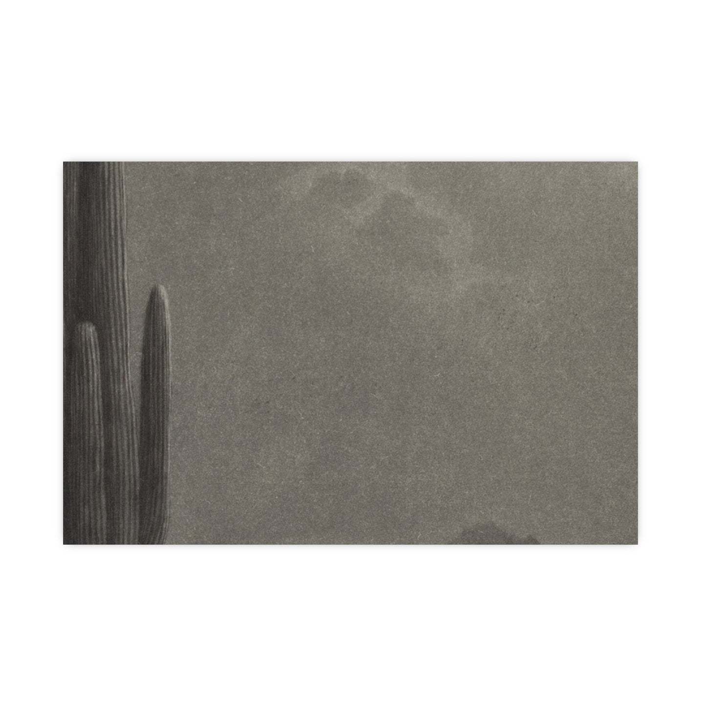 New Moon and Evening Star over Cactus- Celestial Fine Art Poster