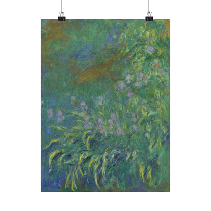 Claude Monet - Irises Botanical Fine Art Print