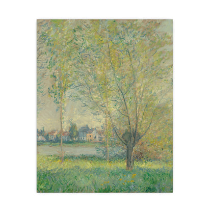 The Willows - Peaceful Landscape Fine Art Poster