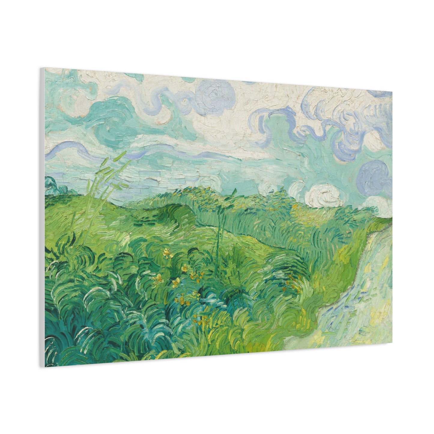 Vincent van Gogh - Green Wheat Fields Fine Art Canvas Print