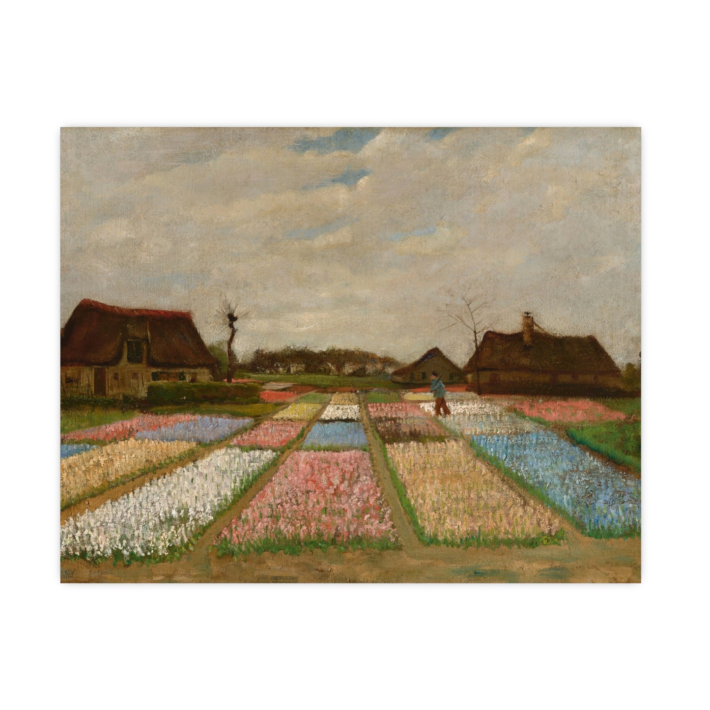 Flower Beds in Holland - Van Gogh Fine Art Poster