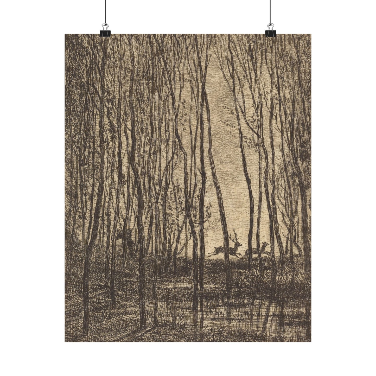 Deer Running Through Woods Nature Fine Art Print