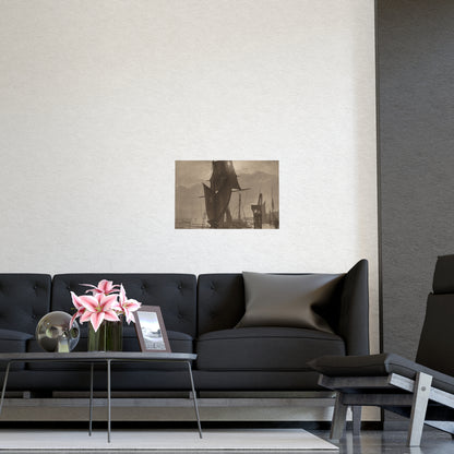 Sunshine and Shadow - Forest Interior Fine Art Poster