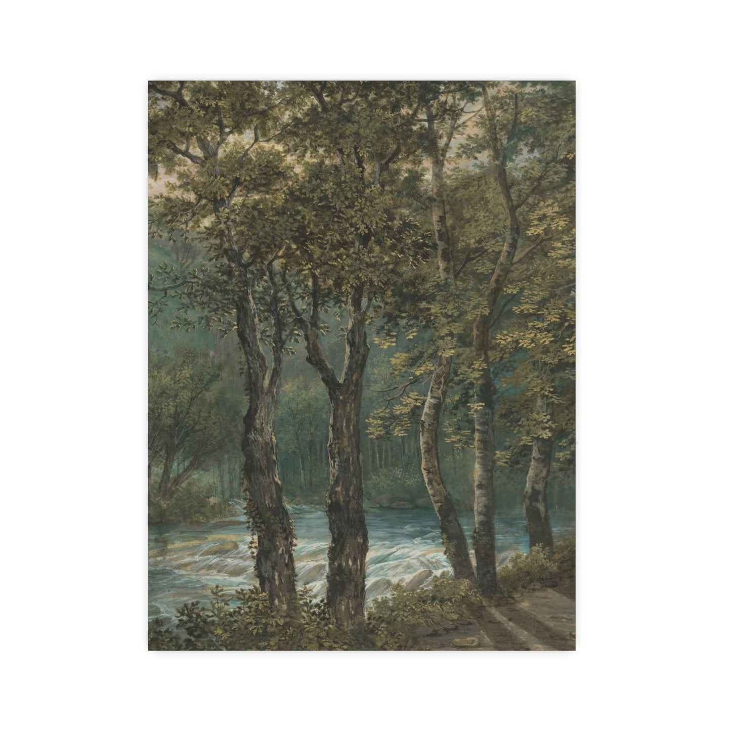 Sunlight Through Trees River Sihl - Forest Landscape Fine Art Poster