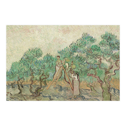 The Olive Orchard - Van Gogh Fine Art Poster