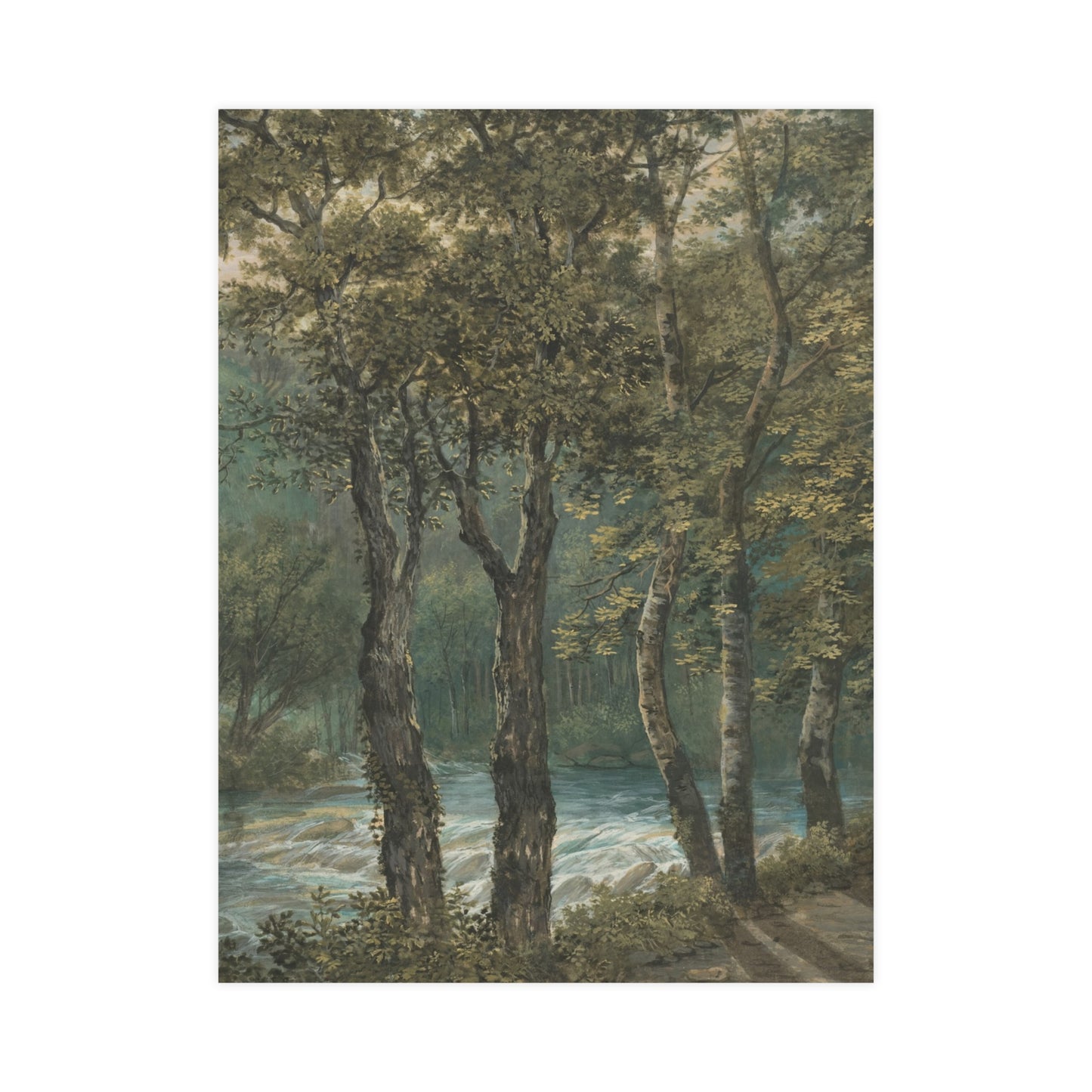 Sunlight Through Trees River Sihl - Forest Landscape Fine Art Poster